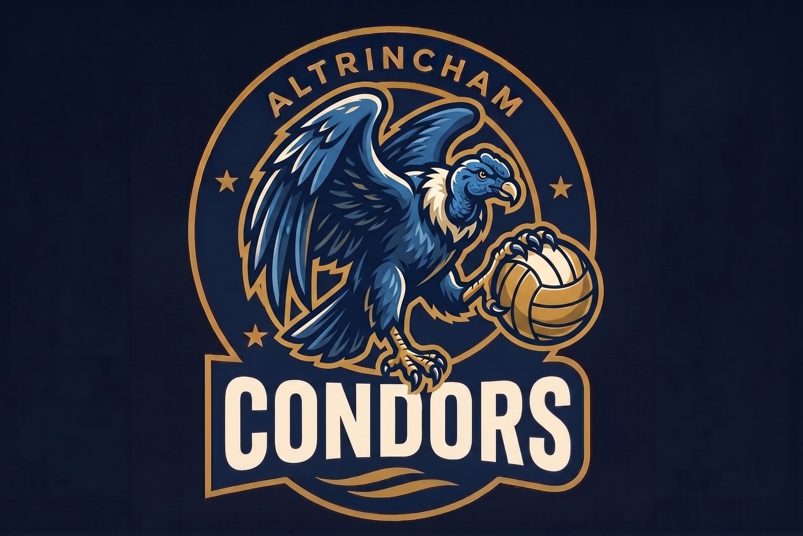 Condors badge