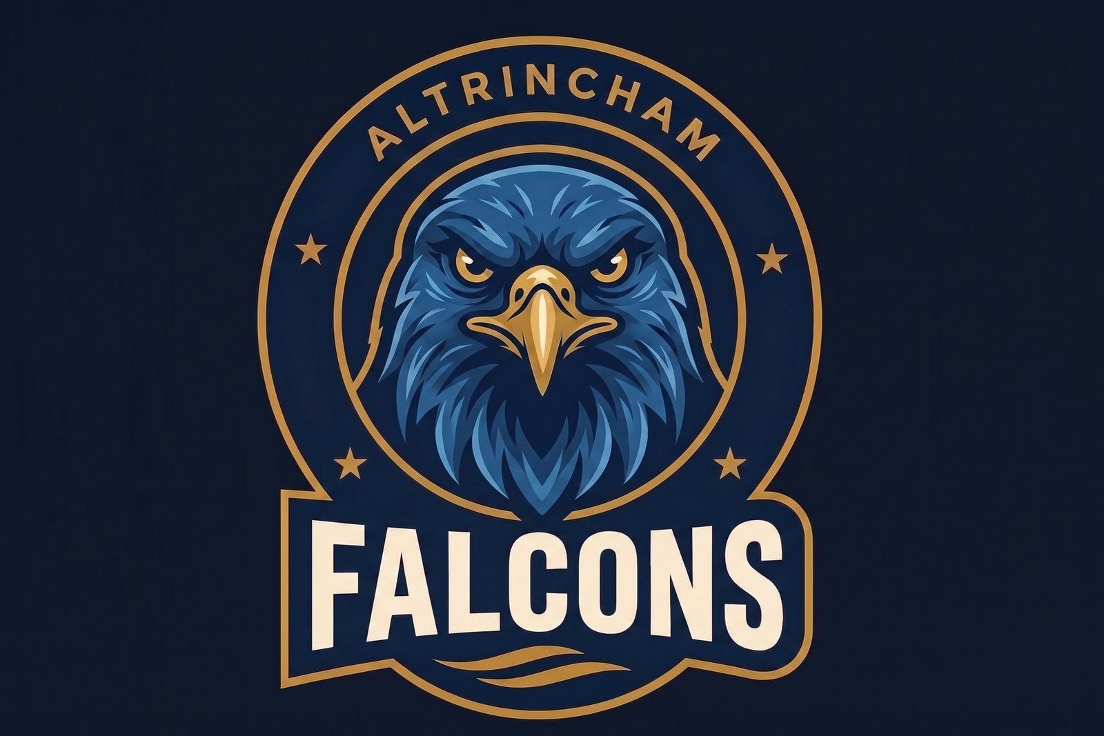 Falcons badge