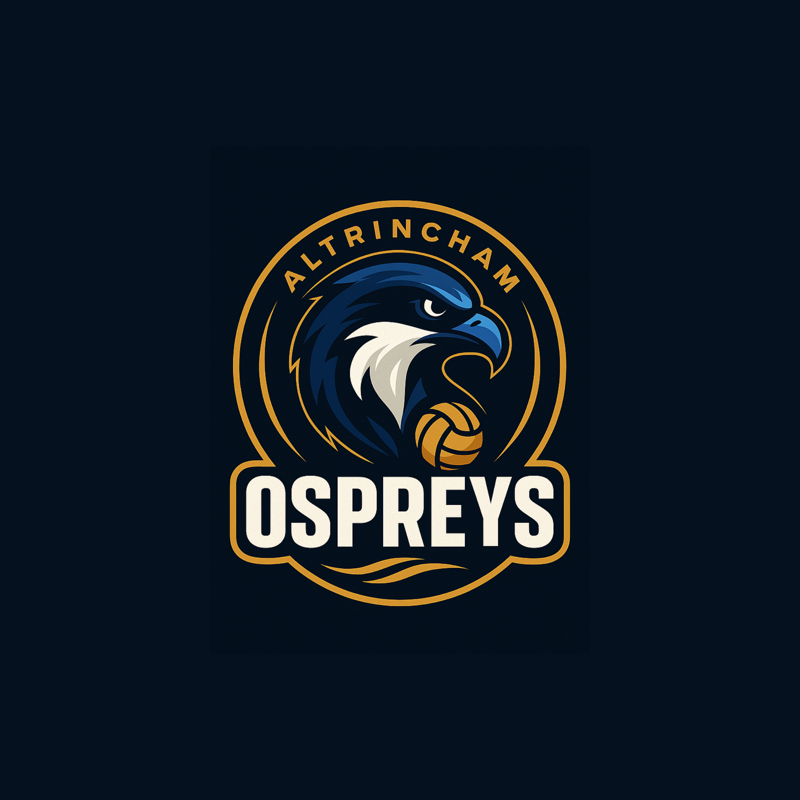 Ospreys badge