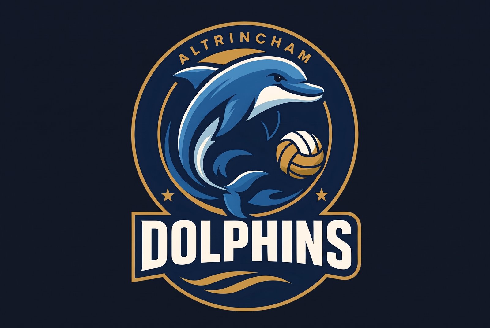 Dolphins badge