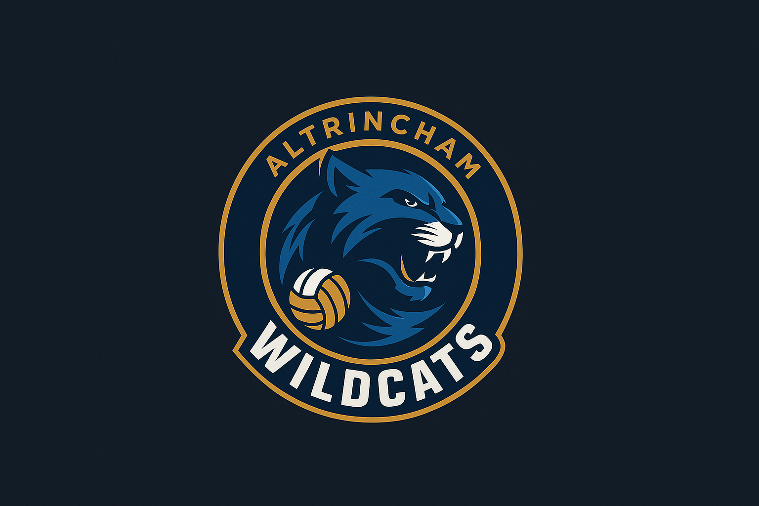 Wildcats badge
