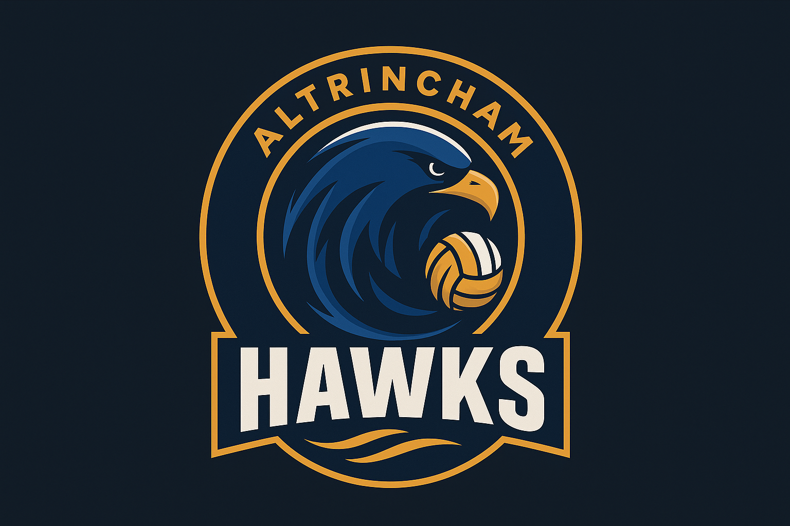 Hawks badge