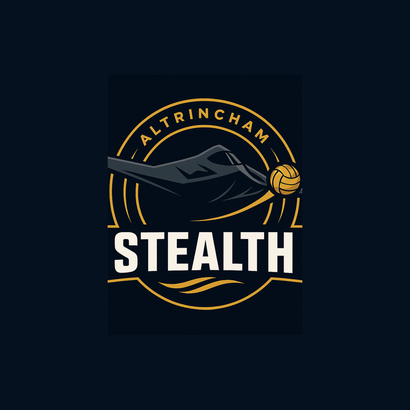 Stealths badge